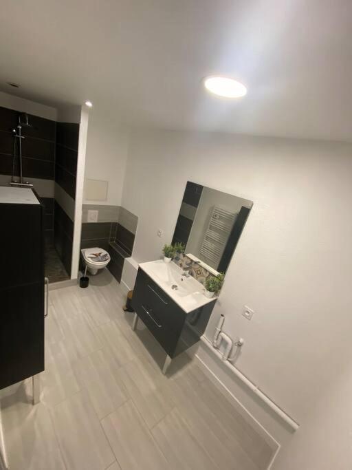 Appartement T2 Centre Ville Dole Exterior foto